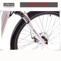 Morden Design BAFANG Mid Drive 48 v1000 w bicicleta da cidade elétrica, e-bike made in china